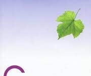 Còn Nương Tựa Thì Còn Dao Động (Sách Ebook PDF)