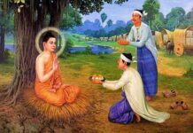Cày ruộng & gieo hạt