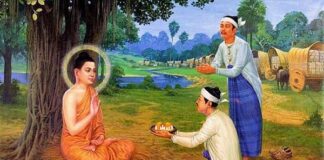 Cày ruộng & gieo hạt