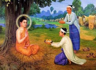 Cày ruộng & gieo hạt