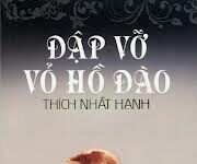 Đập Vỡ Vỏ Hồ Đào