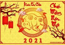 THÔNG BẠCH XUÂN TÂN SỬU