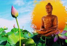 Chánh Niệm- Lẽ Sống Của Người Tu