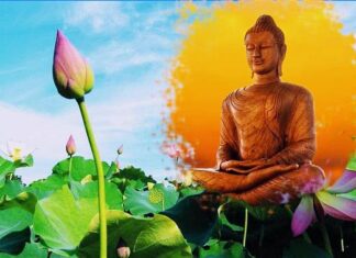 Chánh Niệm- Lẽ Sống Của Người Tu