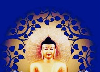 Chỉ Cần Tỉnh Thức Hơn Một Chút