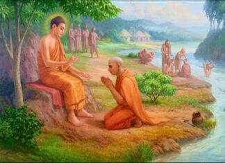 Chỉ một giới thôi