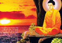Khắc Phục Nạn Phá Rừng Dưới Góc Nhìn Giới Không Sát Sanh Của Phật Giáo
