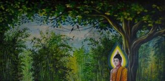 Đức Phật dạy gì trong mùa an cư cuối cùng?