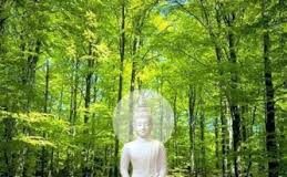 Đức Phật Không Phải Thần Linh Thượng Đế