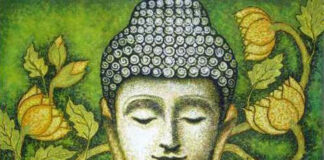 Học dở mà tu hay