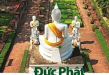 Đức Phật Hiện Diện Giữa Cuộc Đời