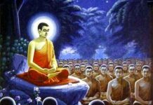 Đời Người Ngắn Ngủi Đừng Phí Thời Gian