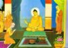 Đức Phật Dạy Lìa Xan Tham