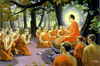 Bồ tát vào đời