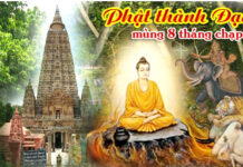 Giải Thoát Là Cốt Lõi Của Đạo Phật