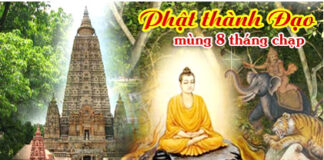 Giải Thoát Là Cốt Lõi Của Đạo Phật