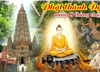 Giải Thoát Là Cốt Lõi Của Đạo Phật