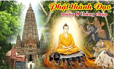 Duc Thich Ca Thanh Dao