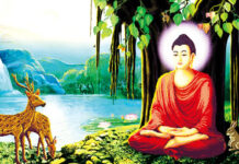Đức Phật Thành Đạo Và Giá Trị Thực Tiễn