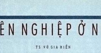 Duyên Nghiệp ở Nơi Ta