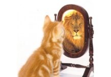 Đừng chấp cái tôi thái quá!