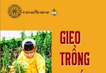 Gieo Trồng Phước Đức