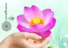 Hạnh Phúc Trong Tầm Tay