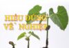 Hiểu đúng về nghiệp