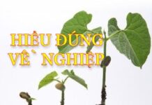 Hiểu đúng về nghiệp