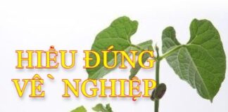 Hiểu đúng về nghiệp
