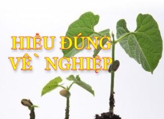 Hiểu đúng về nghiệp