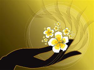 hoa no