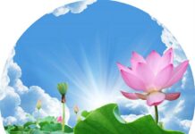 Hành trình siêu ý niệm
