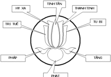 Thư từ nhiệm của Trưởng Ban Ban Hướng Dẫn GĐPG Miền Quảng Đức