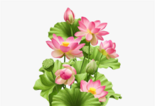 Nền Tảng Xây Dựng Quan Điểm Tánh Không Của Bồ Tát Long Thọ Và Đối Tượng Phê Phán Của Trung Quán Luận