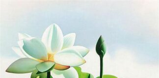 Vai trò của tánh không trong phương thức trị liệu hý luận