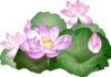 Bình Đẳng của Chân Lý Tương Đối và Chân Lý Tuyệt Đối