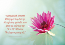 Hương Đức Hạnh Của Người Trì Giới