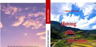 Hương giữa gió ngàn
