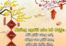 Cách “giải Hạn” Mà Không Cần “Cúng Sao”