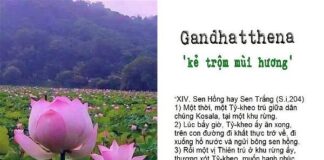 Kẻ trộm mùi hương