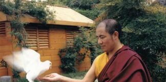 Bày tỏ tình yêu thương và lòng bi mẫn với động vật