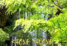 Không Thường Cũng Không Đoạn