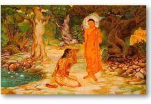 Bài kinh Bahiya – năm phút nhiệm mầu