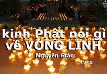 Kinh Phật Nói Gì Về Vong Linh?