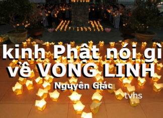 Kinh Phật Nói Gì Về Vong Linh?