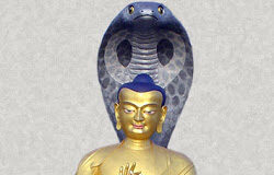 Giới Thiệu Thất Thập Không Tính Luận Của Long Thọ