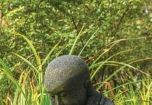 Ba Loại Bệnh Của Người Tu
