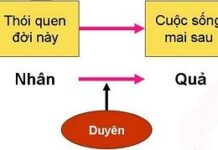 Giải Nghi Về Nhân Quả