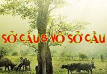 Cầu & Vô Sở Cầu Theo Quan Điểm Phật Giáo (Song ngữ Vietnamese-English )